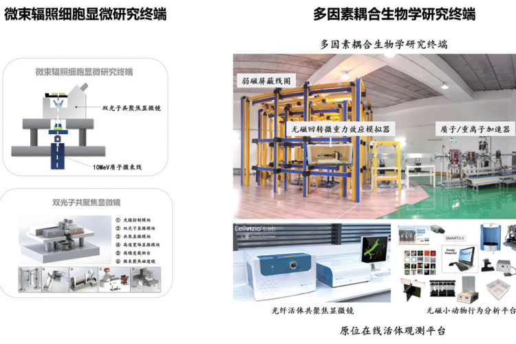 空间生命科学研究室 / 空间生命科学研究分系统